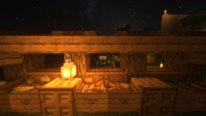 Minecraft__1.16.5_-_Multiplayer_3rd-party_Server_3_4_2021_11_46_34_PM